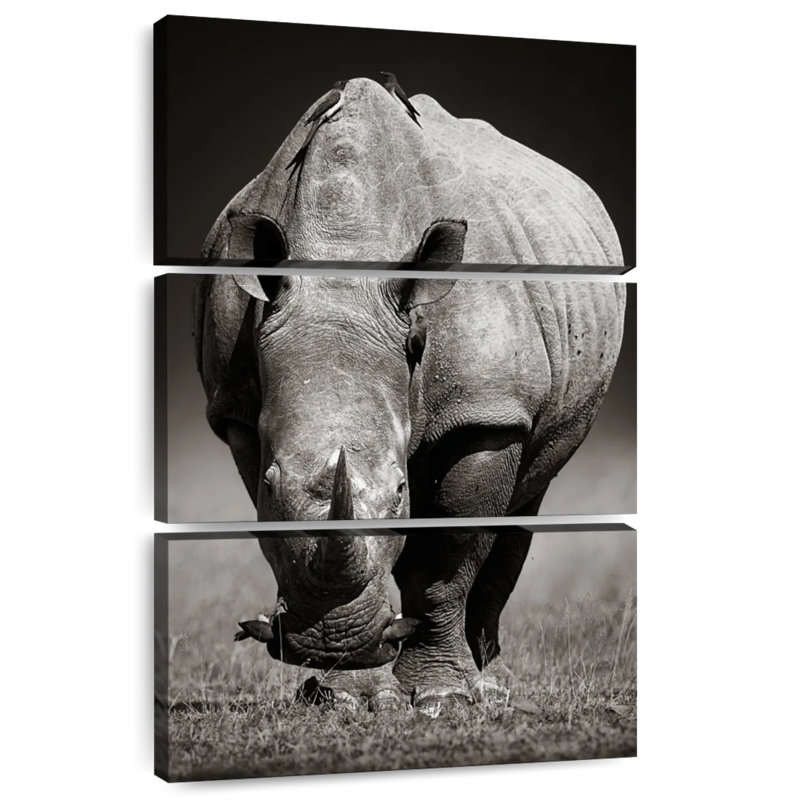 Brampt White African Rhinoceros, 32" H x 20" W