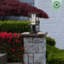 Tête de lanterne à graines Laelah