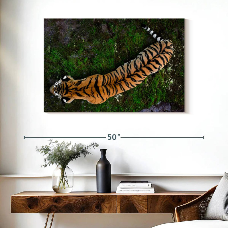 Brampt Tiger From Above, 26" H x 39" W