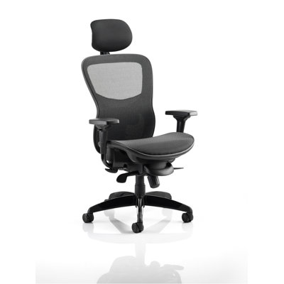 Symple Stuff Office Chair with Headrest