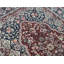 Jahan Wool Oriental Area Rug in Rust
