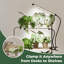 Lumière de croissance à DEL à pince double, 42 DEL à spectre complet, 3 modes d'éclairage, 10 niveaux de luminosité à intensité variable, minuterie automatique pour les plantes d'intérieur, les semis, les plantes grasses, les herbes et les fleurs