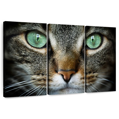 Brampt Feline Eyes