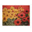 «Vibrant Garden of Daisies» - Art mural en bois de marguerite sur bois de pin naturel-2108429857