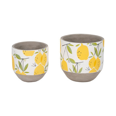 Sagebrook Home 2-Pieces Cement Growing Lemons Planter, Multi-Color