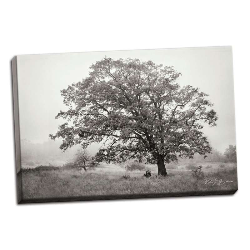 « burning oak v », reproduction de photo sur toile tendue