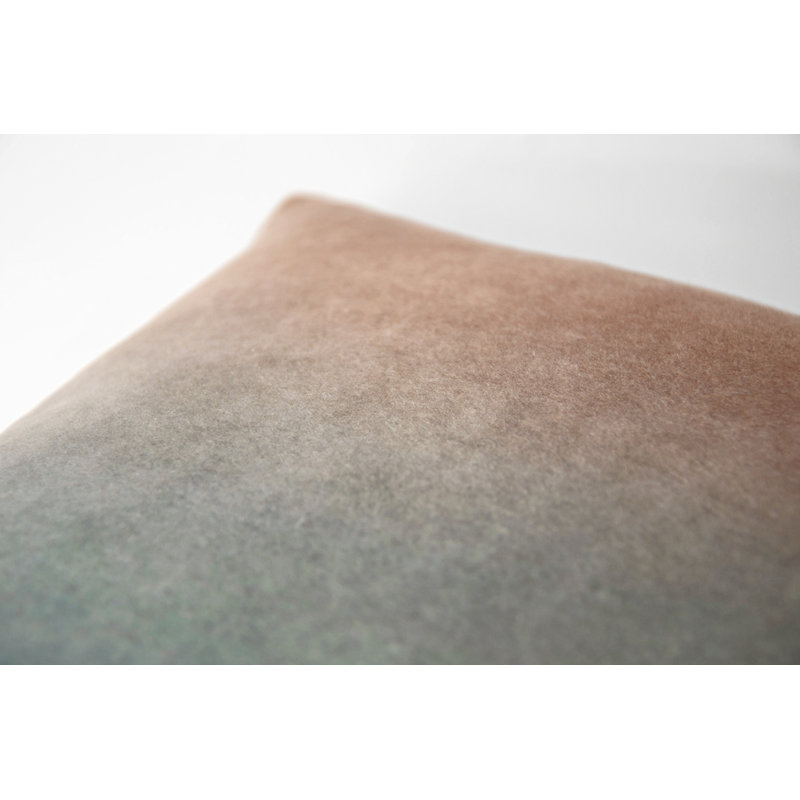 Matte Velvet Pillow Cover & Insert, Agave, Rectangle 14"H x 20"W