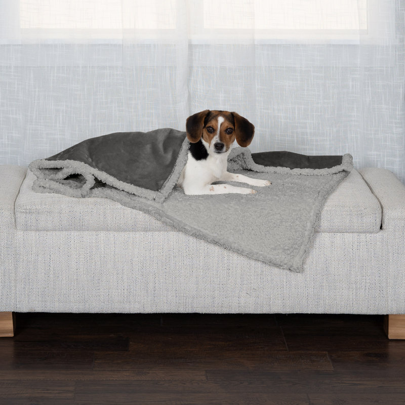 Snuggly & Warm Soft-Edge Warming Waterproof Blanket, 40" x 30", Gray
