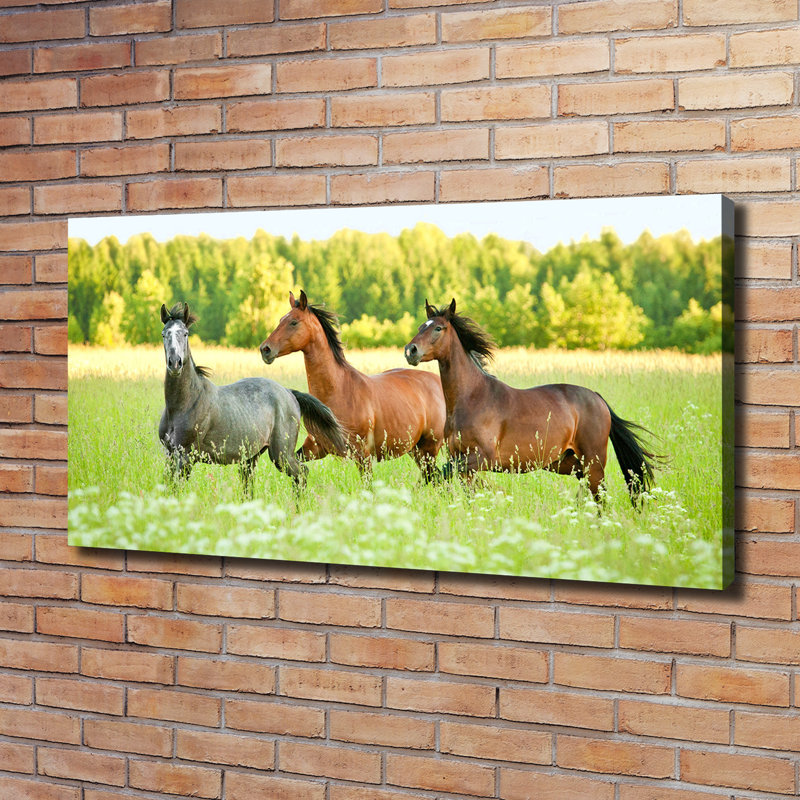 Horses In A Gallop - Wrapped Canvas Print