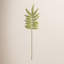 42.5-Inch Tree Fern Stem