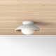 Jason Single Light Glass Flush Mount