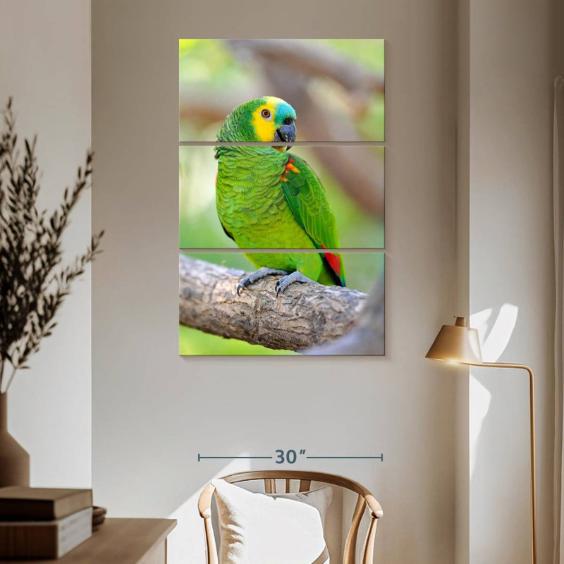 Amazone à front turquoise Brampt, H 65 po x l 42 po