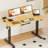 Eric Height Adjustable Standing Desk, 100% Bamboo Desktop-796140280-796140283