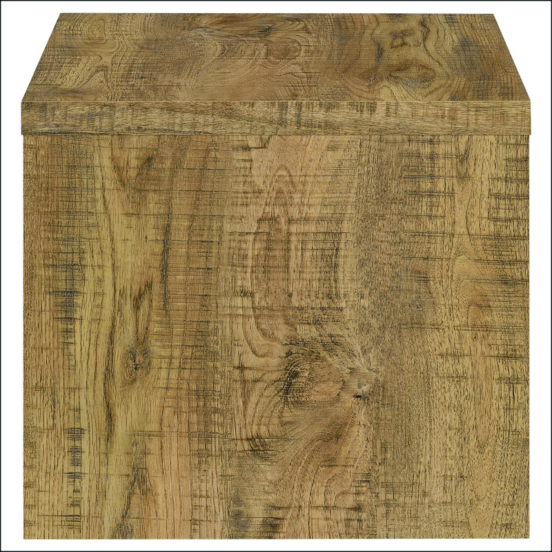 Ensemble de table basse et de table de bout 3 pièces Brianna Mango, parfait pour la vie moderne et pour optimiser l'espace.