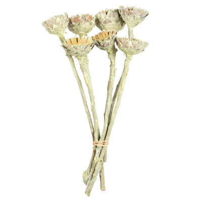 Preserved Faux Floral Arrangement