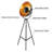 Tahmid 66 " Tripod Floor Lamp