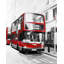 Red Bus Londoner - Black Office