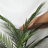 Artificial Areca Palm