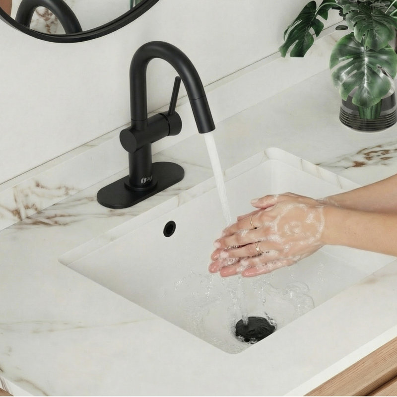 Robinet pour salle de bain à poignée double 9 11/16 po, Noir mat