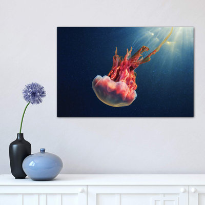 «Cyanea Capillata IX» par Anna Sweet - impression d'art graphique