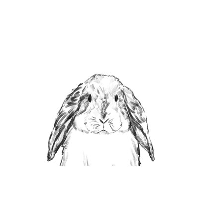 Little Little Bunny - peinture sur toile tendue