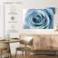 Hardie rose blanc nacré-107528571