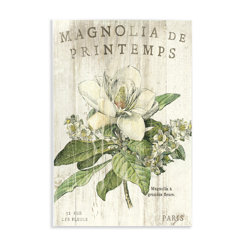 French Magnolias In Spring Wall Plaque Art by Sue Schlabach, 15" H x 10" W