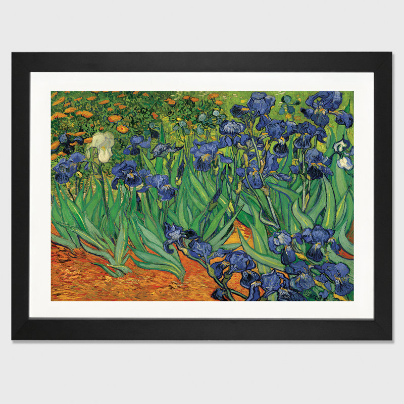 « irises » par vincent van gogh, impression, H 24 po x l 32 po x p 1 po, Cadre noir