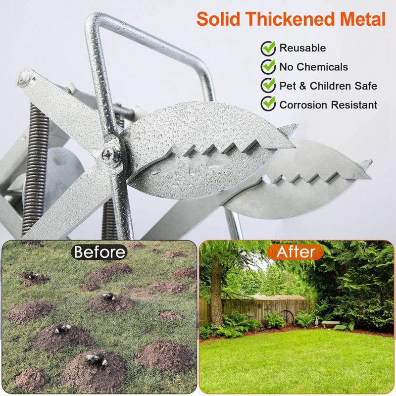 Edge Collections Gardening Tools