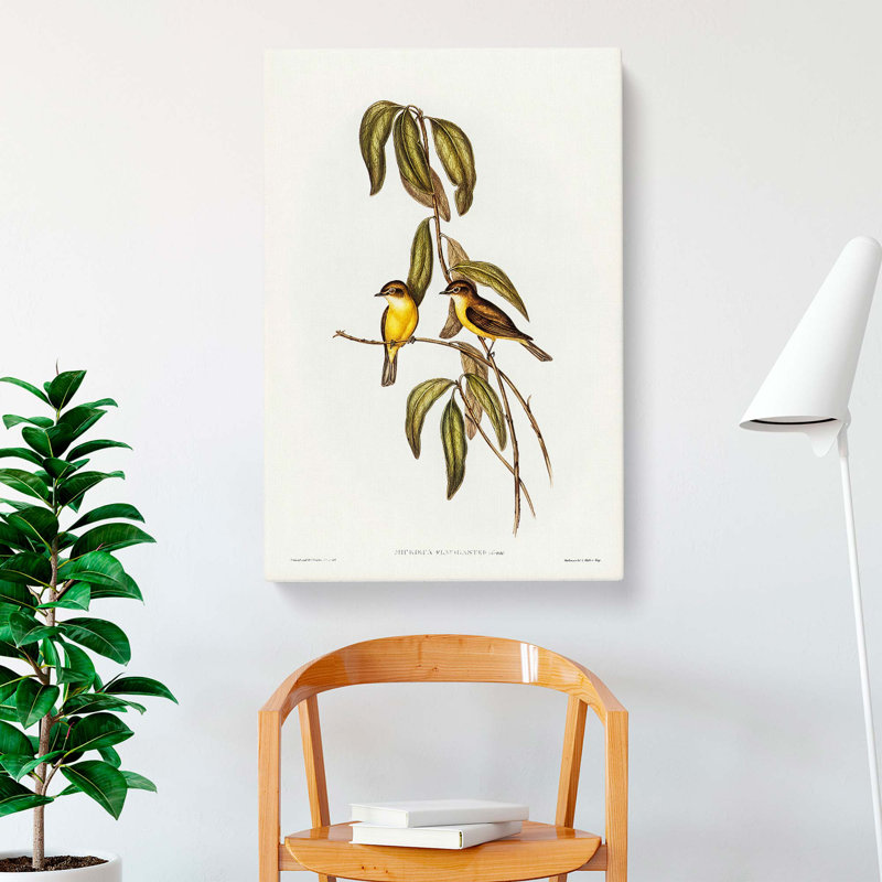 Yellow-Bellied Flycatcher Birds by Elizabeth Gould - Wrapped Canvas, 76cm H x 50cm W x 3cm D