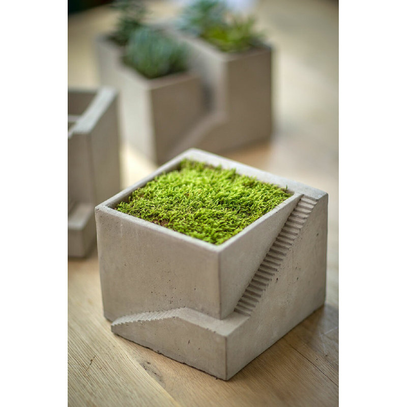 Pot à fleurs en ciment