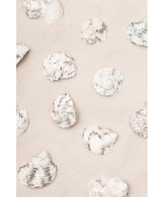 Wrapped Canvas Print, 50.8cm H x 76.2cm W
