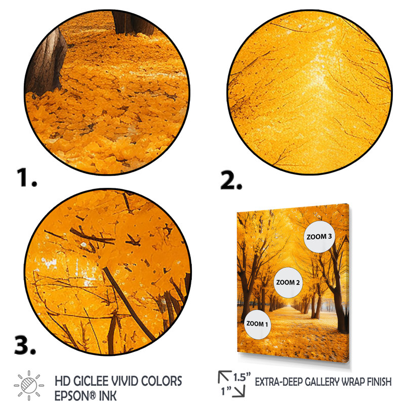 «Tree Golden Autumn Canopy I», reproduction sur toile, Cadre photo noir, H 20 po x l 12 po x P 1 po