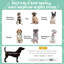 Beonica Polyester Pet Bed