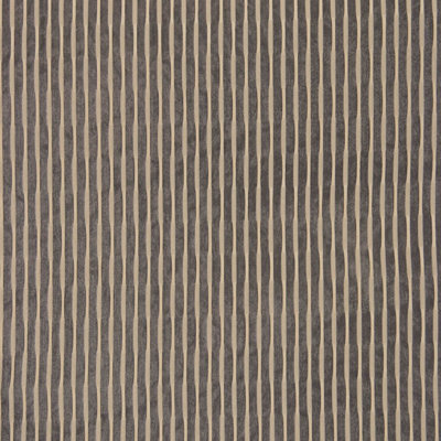 Canon Fabric