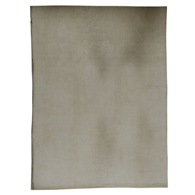 Area Rug in Brown