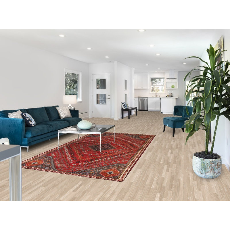 Tapis à motif géométrique traditionnel 5 x 9