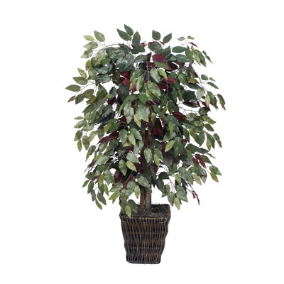 4' Artificial Capensia Bush, Square Willow Basket