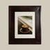 Coffee Bean