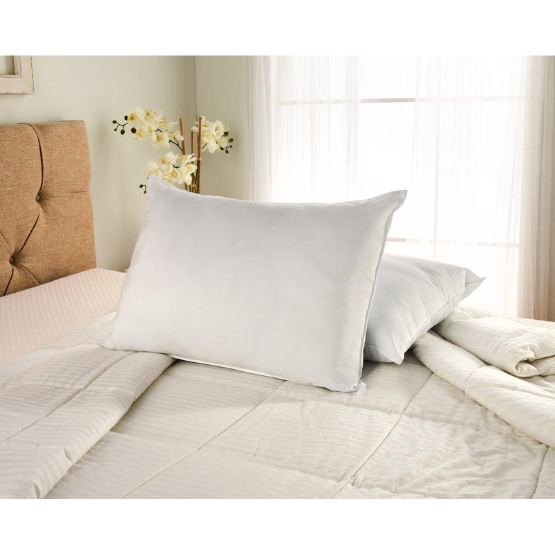 Wayfair Sleep™ Polyester Plush Pillow, King Pillow: 20" x 36"