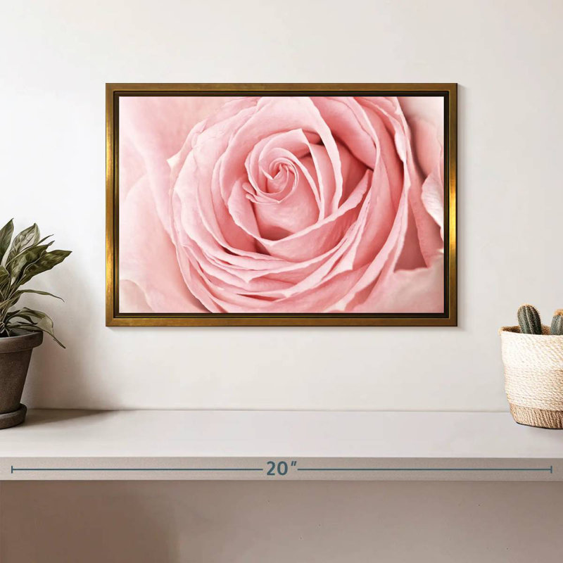 Rose rose fraîche, Cadre flottant doré, 37 po x 25 po