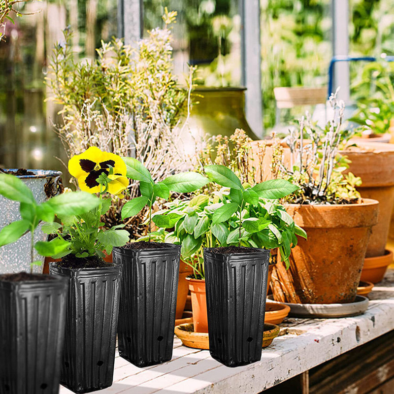 Pot Planter