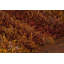 Tapis de zone rouge Dorothy-24415514