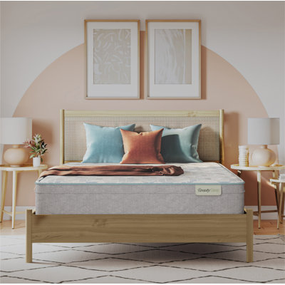 BeautySleep Slumberscape 12.25" Medium Euro Top Mattress Set with Low Profile 6" Foundation by Beautyrest