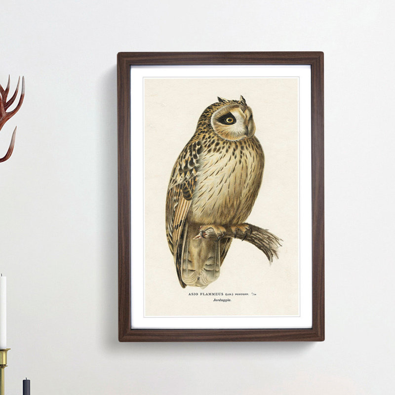 Short-Eared Owl by Von Wright - Picture Frame Painting Print, Walnut, 91cm H x 60cm W x 2cm D