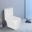 Toilette allongée une pièce à double chasse Nyla