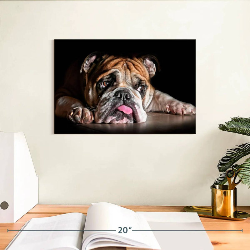 Sad Bulldog, 8" H x 12" W