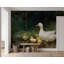 Décoration murale nature canard-1144466299-1144466298