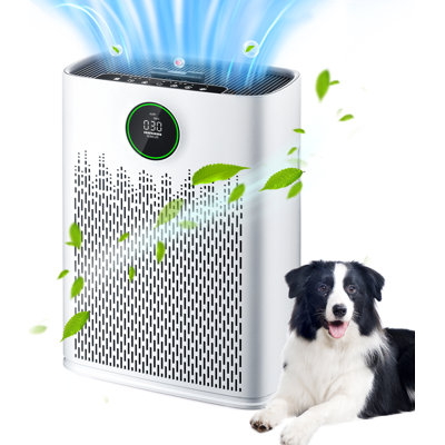 Purificateurs d'air puissants pour grandes pièces jusqu'à 2400 pi² avec moniteur de qualité de l'air, mode sommeil 20 dB, purificateur d'air pour chambre, bureau, salon, animaux domestiques, poussière, fumée, poison, pellicules, odeurs