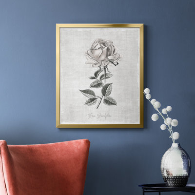 Vintage Botanical II Premium Framed Canvas - Ready to Hang